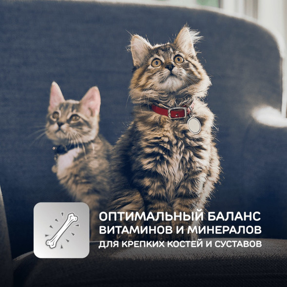 Влажный корм Hills Science Plan для котят для здорового роста и развития, пауч с курицей в соусе - 85 г x 12 шт