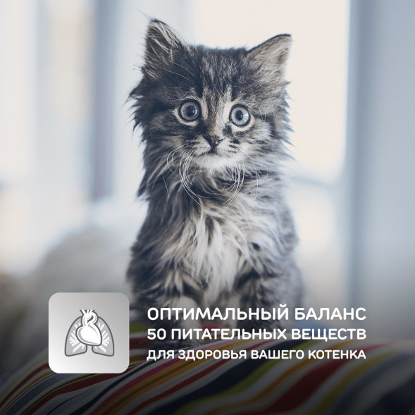 Влажный корм Hills Science Plan для котят для здорового роста и развития, пауч с курицей в соусе - 85 г x 12 шт