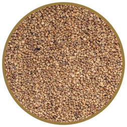 CAT STEP Olive Original наполнитель комкующийся растительный - 5 л