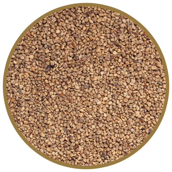 CAT STEP Olive Original наполнитель комкующийся растительный - 5 л