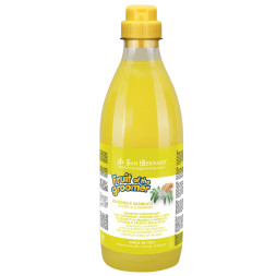 Iv San Bernard Fruit of the Groomer Ginger&amp;amp;Elderbery шампунь для любого типа шерсти против раздражений и перхоти - 100 мл