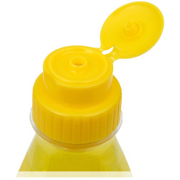 Iv San Bernard Fruit of the Groomer Ginger&amp;amp;Elderbery шампунь для любого типа шерсти против раздражений и перхоти - 100 мл