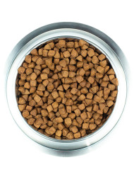 Wellness Сore сухой корм для взрослых собак средних и крупных пород с низким содержанием жира с индейкой 10 кг