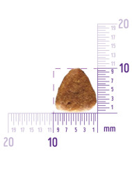 Wellness Сore сухой корм для взрослых собак средних и крупных пород с низким содержанием жира с индейкой 10 кг