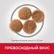 Hills Science Plan Perfect Weight сухой корм для собак средних пород с курицей - 12 кг
