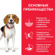 Hills Science Plan Perfect Weight сухой корм для собак средних пород с курицей - 12 кг