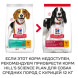 Hills Science Plan Perfect Weight сухой корм для собак средних пород с курицей - 12 кг