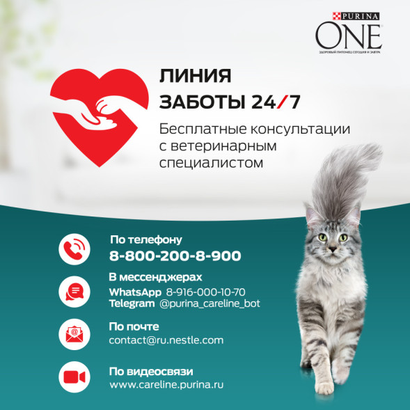 Purina ONE сухой корм для стерилизованных кошек с говядиной и пшеницей  - 750 г