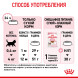 Royal Canin Kitten 34 сухой корм для котят от 4 до 12 месяцев с птицей - 300 г