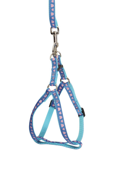 Camon шлейка с поводком для собак Hearts, синий
