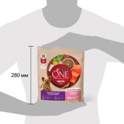 Сухой корм для собак Purina ONE Мини Чувствительная для мелких пород с лососем и рисом 600 г