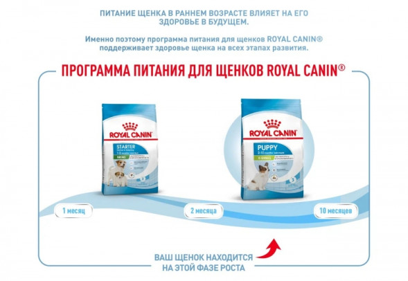 Royal Canin X-Small Puppy Корм сухой для щенков очень мелких размеров до 10 месяцев, 0,5 кг