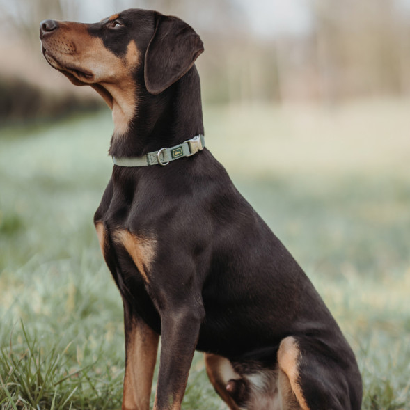 Hunter ALU-Strong Inari M ошейник для собак, 40-55 см, нейлон, с металлической застежкой, оливковый