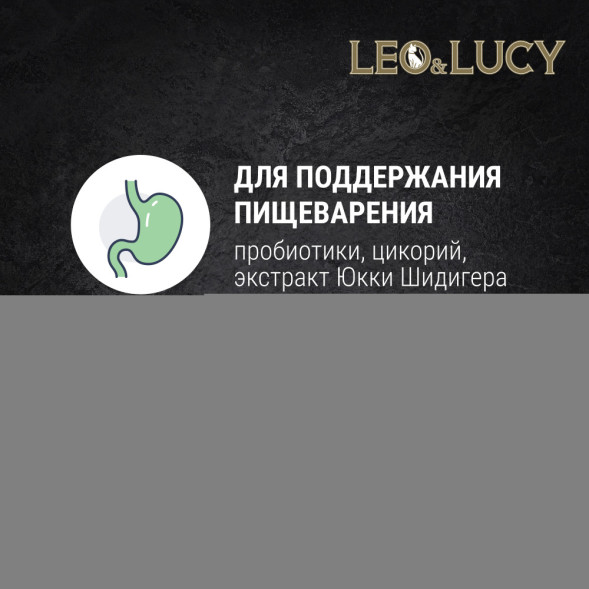 LEO&amp;amp;LUCY cухой холистик корм для взрослых и пожилых стерилизованных кошек с индейкой и ягодами - 400 г