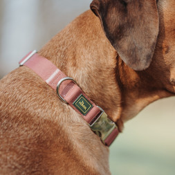 Hunter ALU-Strong Inari M ошейник для собак, 40-55 см, нейлон, с металлической застежкой, пепельная роза