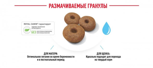 Royal Canin Maxi Starter Корм для щенков крупных пород до 2-х месяцев, беременных и кормящих сук, 4 кг