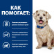Hills Prescription Diet w/d влажный диетический корм для взрослых собак для контроля веса и при диабете, в консервах - 370 г x 6 шт