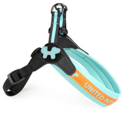 United Pets Complete me шлейка для собак, 1,5 x 34-42 см, голубая с оранжевым