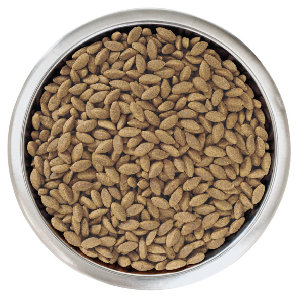 Purina Pro Plan Medium &amp;amp; Large Adult 7+ cухой корм для взрослых собак средних и крупных пород старше 7 лет с лососем и рисом - 3 кг