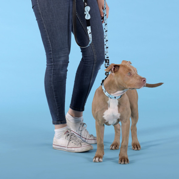 United Pets Complete me Writing поводок для собак, 140 см, 16 мм, голубой с рисунком