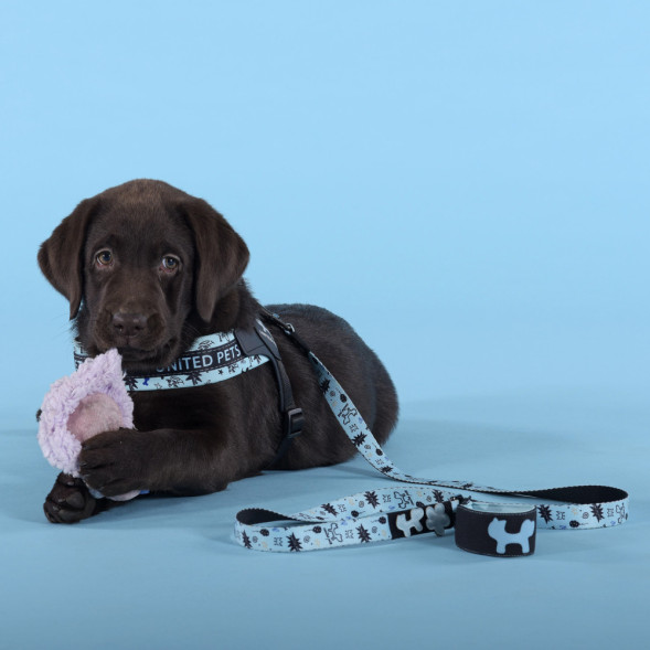 United Pets Complete me Writing поводок для собак, 140 см, 16 мм, голубой с рисунком