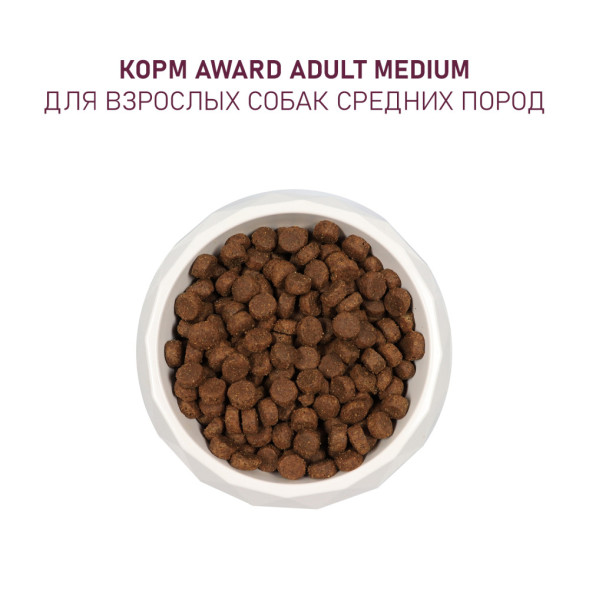 AWARD сухой корм для взрослых собак средних пород, с индейкой, курицей, морковью и черной смородиной - 2 кг