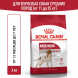 Royal Canin Medium Adult сухой корм для взрослых собак средних пород со свининой - 3 кг