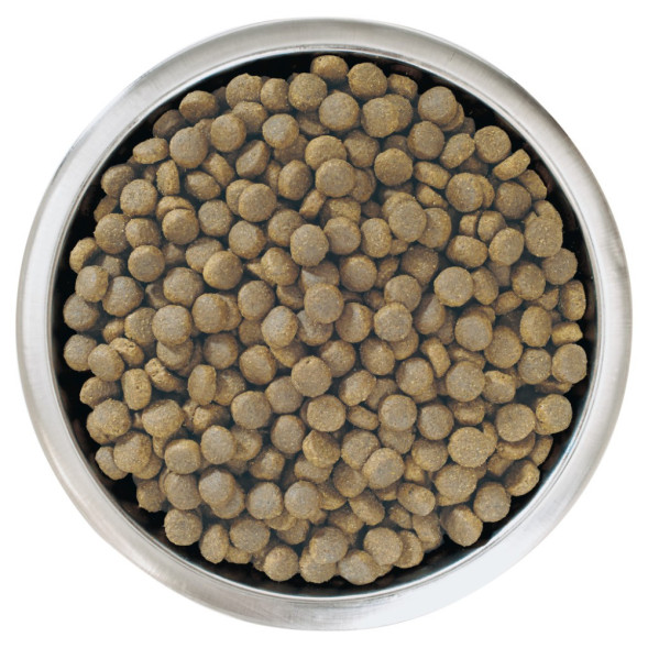 Pro Plan Puppy Large Robust сухой корм для щенков крупных пород с мощным телосложением с курицей и рисом - 12 кг