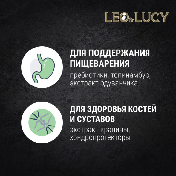 LEO&amp;amp;LUCY влажный холистик корм для взрослых и пожилых собак всех пород с ягненком и грушей, паштет, в консервах - 400 г х 24 шт