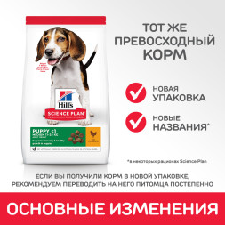 Сухой корм Hills Science Plan для щенков средних пород для поддержания сильного иммунитета, с курицей - 12 кг