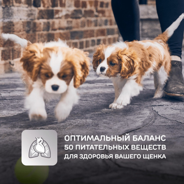 Сухой корм Hills Science Plan для щенков средних пород для поддержания сильного иммунитета, с курицей - 12 кг