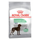Royal Canin Maxi Digestive Care сухой корм для взрослых собак крупных размеров с чувствительной пищеварительной системой - 3 кг