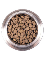 Monge Dog Speciality Adult Lamb сухой корм для взрослых собак всех пород с ягненком, рисом и картофелем 2,5 кг