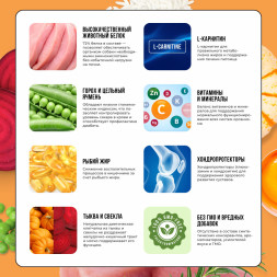 BOWL WOW сухой корм для взрослых собак крупных пород с индейкой, курицей, рисом и тыквой - 5 кг