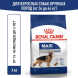 Royal Canin Maxi Adult сухой корм для взрослых собак крупных пород - 3 кг