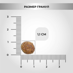 Necon Natural Wellness Adult Mini Pork &amp;amp; Rice сухой корм для взрослых собак мелких пород со свининой и рисом - 2 кг