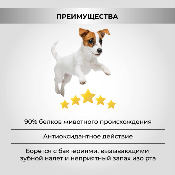 Necon Natural Wellness Adult Mini Pork &amp;amp; Rice сухой корм для взрослых собак мелких пород со свининой и рисом - 2 кг