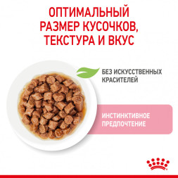 Royal Canin Kitten влажный корм котят до 12 месяцев кусочки в соусе, в паучах - 85 г х 28 шт