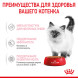 Royal Canin Kitten влажный корм котят до 12 месяцев кусочки в соусе, в паучах - 85 г х 28 шт