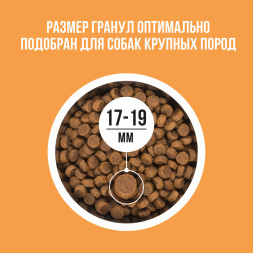 BOWL WOW сухой корм для взрослых собак крупных пород с индейкой, курицей, рисом и тыквой - 2 кг