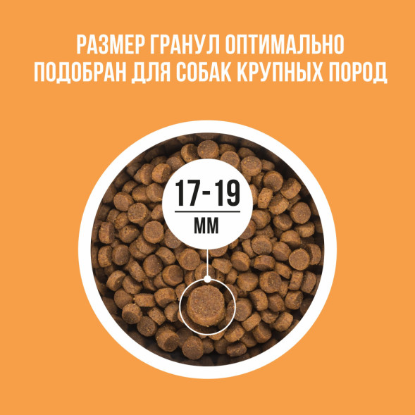 BOWL WOW сухой корм для взрослых собак крупных пород с индейкой, курицей, рисом и тыквой - 2 кг