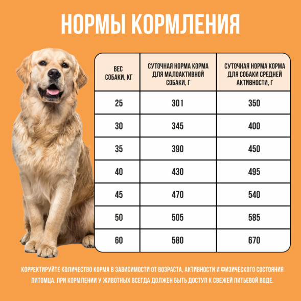 BOWL WOW сухой корм для взрослых собак крупных пород с индейкой, курицей, рисом и тыквой - 2 кг