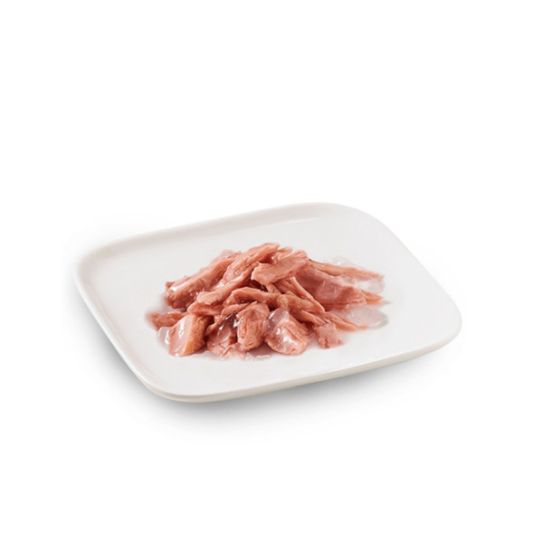 Schesir Dog Adult влажный корм для взрослых собак с тунцом в консервах - 150 г х 10 шт