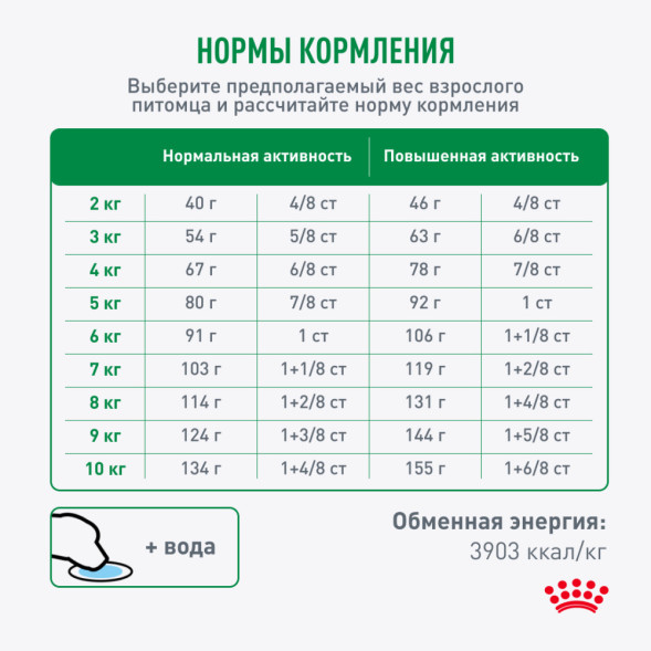 Royal Canin Mini Adult 8+ сухой корм для пожилых собак мелких пород старше 8 лет - 4 кг