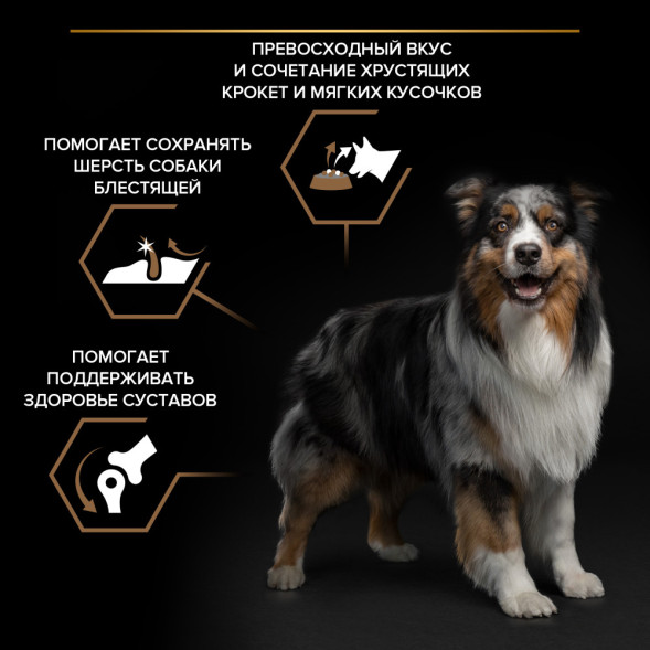 Purina Pro Plan Duo Delice сухой корм для взрослых собак средних и крупных пород с говядиной и рисом - 10 кг