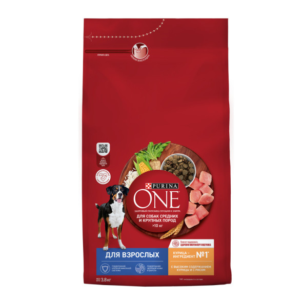 Purina ONE сухой корм для взрослых собак средних и крупных пород с высоким содержанием курицы и с рисом - 3,8 кг