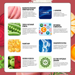 BOWL WOW сухой корм для взрослых собак средних пород с индейкой, курицей, рисом и свеклой - 2 кг