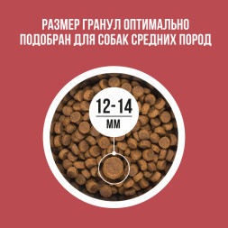 BOWL WOW сухой корм для взрослых собак средних пород с индейкой, курицей, рисом и свеклой - 2 кг