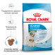 Royal Canin Mini Starter Mother &amp;amp; Babydog сухой корм для щенков, беременных и лактирующих сук мелких пород - 8,5 кг