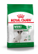 Royal Canin Mini Adult 8+ сухой корм для пожилых собак мелких пород старше 8 лет - 2 кг